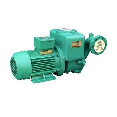 Bomba de vórtice de água doce marinha CWX